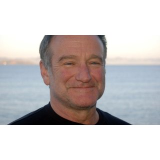 Robin's Wish Picture 4