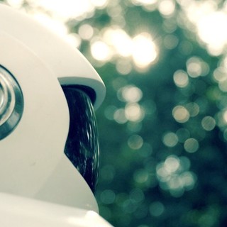 Robot And Frank Picture 13