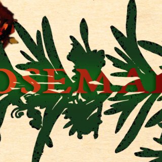 Rosemary (2026)