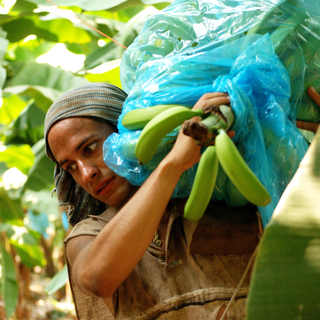 Gael Garcia Bernal stars as Tato in Sony Pictures Classics' Rudo y Cursi (2009)