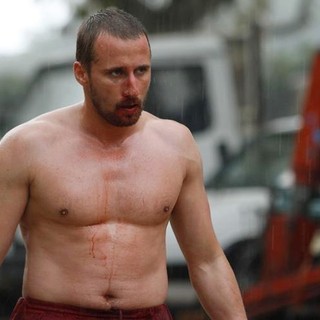 Rust And Bone Picture 16