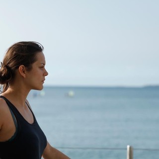 Rust And Bone Picture 29