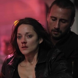 Rust And Bone Picture 5