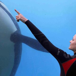 Rust And Bone Picture 7