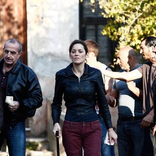 Rust And Bone Picture 9