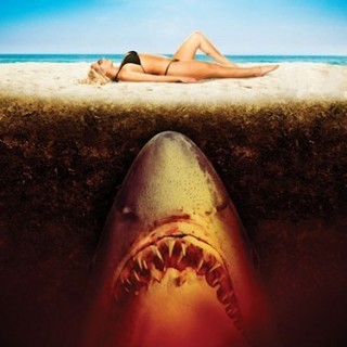 Sand Sharks Picture 16