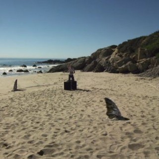 Sand Sharks Picture 2