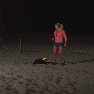 Sand Sharks Picture 4