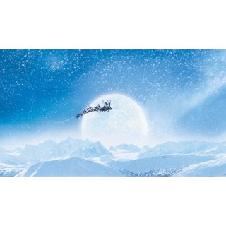 Santa Clause 3: The Escape Clause, The Picture 6