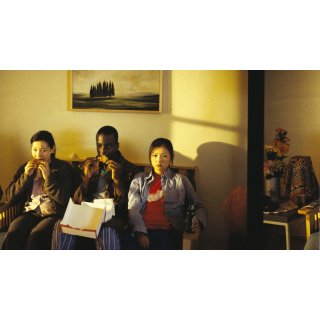 Saving Face (2005)