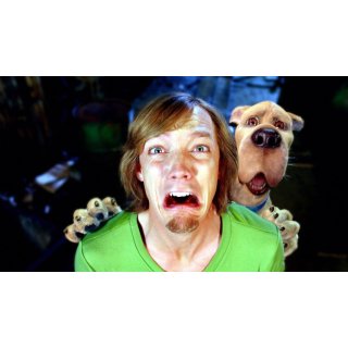 Scooby-Doo 2: Monsters Unleashed Picture 7