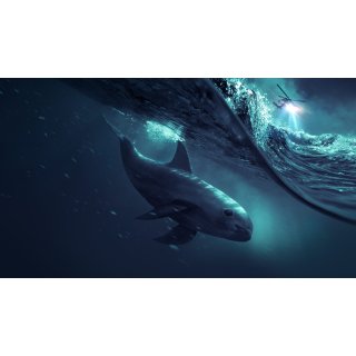 Sea of Shadows (2019)