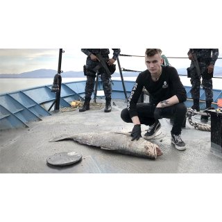 Sea of Shadows (2019)