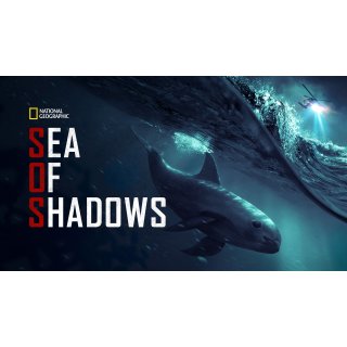 Sea of Shadows (2019)