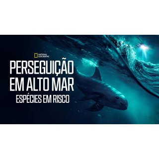 Sea of Shadows (2019)