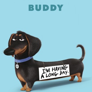 Secret Life Of Pets, The Picture 22