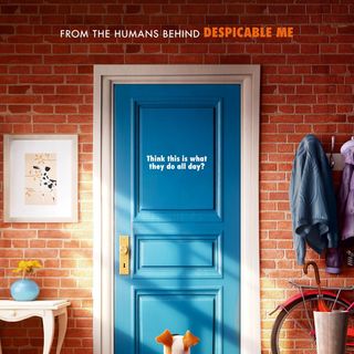 Secret Life Of Pets, The Picture 1