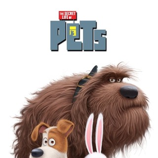 The Secret Life of Pets Picture 9