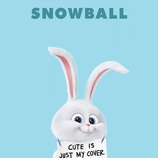 Secret Life Of Pets, The Picture 14
