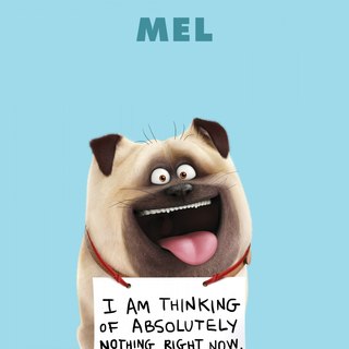 Secret Life Of Pets, The Picture 16