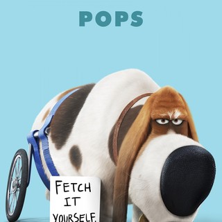 Secret Life Of Pets, The Picture 17
