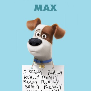 Secret Life Of Pets, The Picture 18