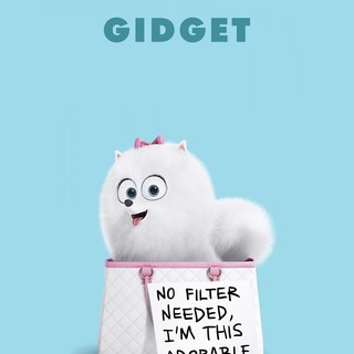 Secret Life Of Pets, The Picture 19