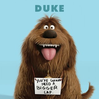 Secret Life Of Pets, The Picture 20