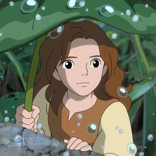 Secret World Of Arrietty, The Picture 18