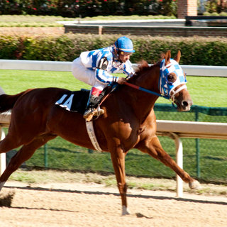 Otto Thorwarth stars as Ron Turcotte in Walt Disney Pictures' Secretariat (2010)