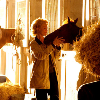 Secretariat Picture 13