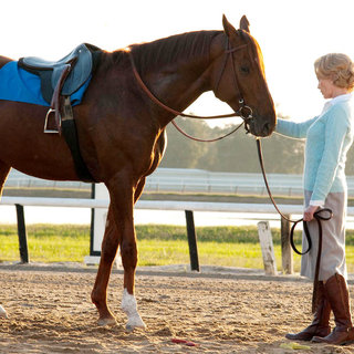 Secretariat Picture 16