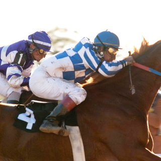 Secretariat Picture 23