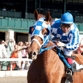 Secretariat Picture 24