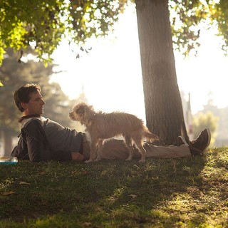 Seeking A Friend For The End Of The World Picture 29