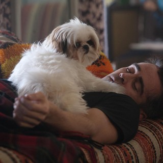 Colin Farrell stars as Marty in CBS Films' Seven Psychopaths (2012)
