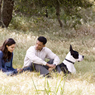 Rosario Dawson stars as Emily Posa and Will Smith stars as Ben Thomas in Columbia Pictures' Seven Pounds (2008)