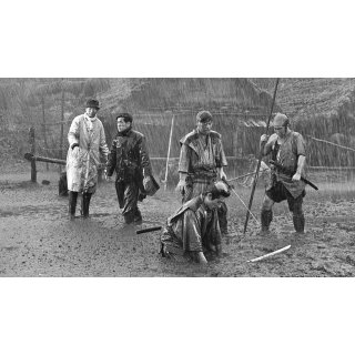 Seven Samurai, The (1970)