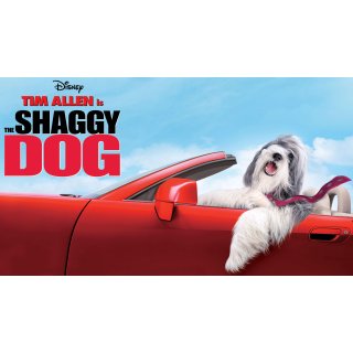 Shaggy Dog, The Picture 3