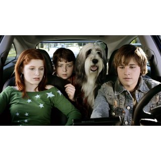 Shaggy Dog, The Picture 6