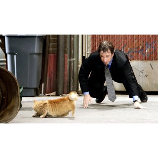 Shaggy Dog, The Picture 7