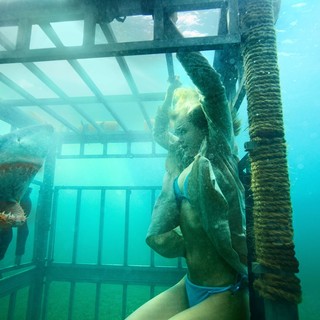 Shark Night 3D Picture 2