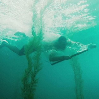Shark Night 3D Picture 14