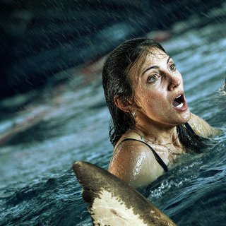 Shark Thrash (2026)