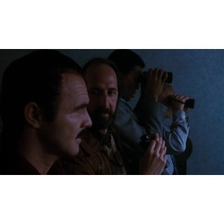Sharky's Machine (1970)