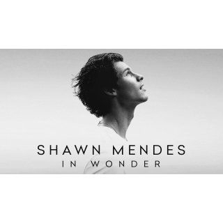 Shawn Mendes: In Wonder Picture 6