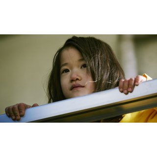 Shoplifters Picture 4
