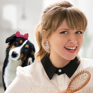 Show Dogs Picture 3