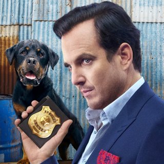 Show Dogs Picture 4