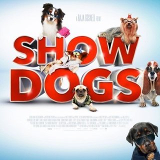 Show Dogs Picture 9